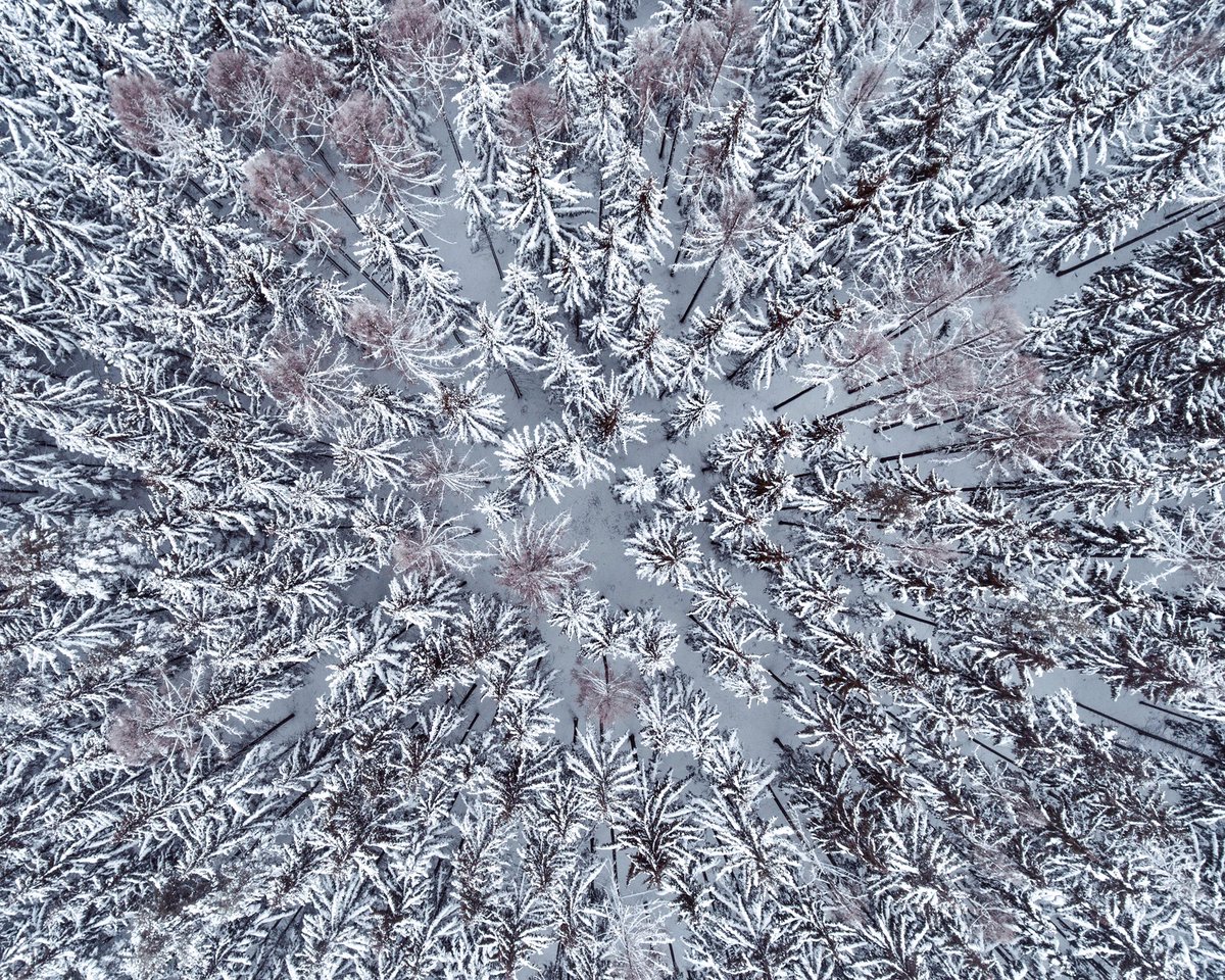matejwe's tweet photo. Zima všude kolem nás...
@JiriJiriVeverka @AMAZlNGNATURE @ViewsByDrones @VisitCZ @WinterPhotos @AcovPlzni @amazingczechia @NaturePhotoNet https://t.co/EAMMMysQGD