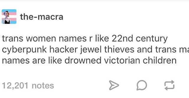 QueersNextDoor's tweet photo. I know it cut off a little, but I can’t stop laughing about this #representationmatters #queersnextdoor #queer #queeraf #cheersqueers #chosennames #identity #trans #nonbinary #transwomen #transmen #youridentityisvalid #cyberpunkhackerjewelthieves #drowne… https://t.co/AnbfTplZoB https://t.co/9mUEv5tjst
