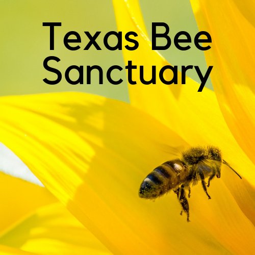 Honey bees are super-important pollinators for flowers, fruits and vegetables. Bees transfer pollen between the male and female parts, allowing plants to grow seeds and fruit.