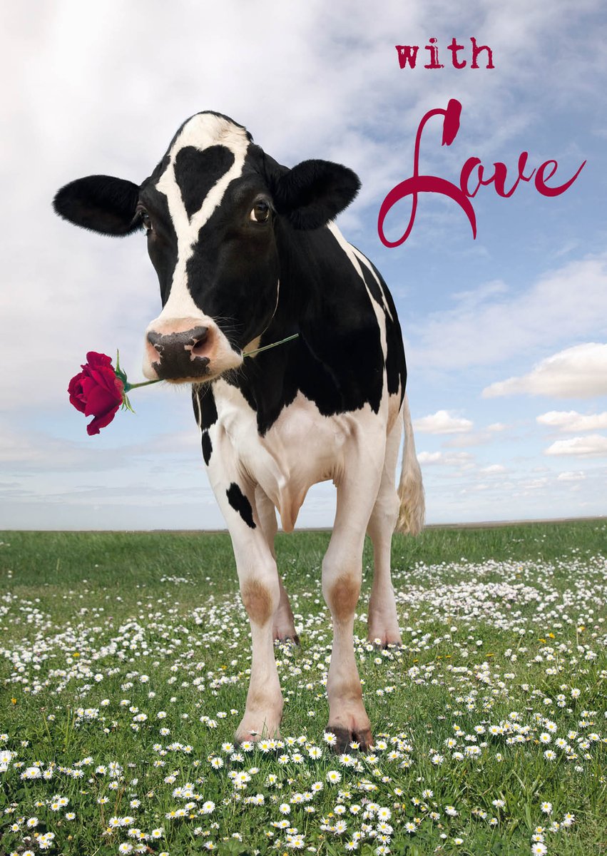 Liefdevolle groet uit Apeldoorn #Valentijn #tips #cadeau
mailchi.mp/1f928d31943a/l…