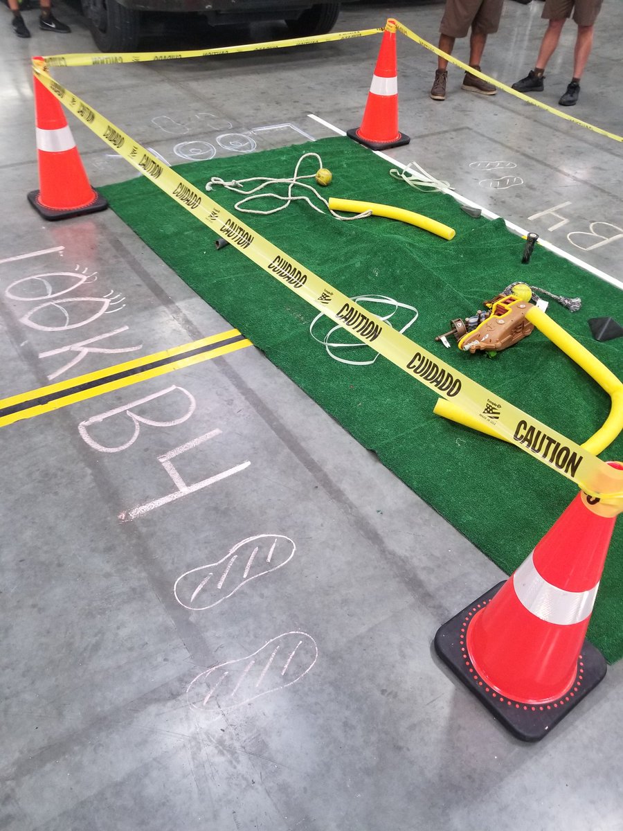 Ainsley Robertson tweet media