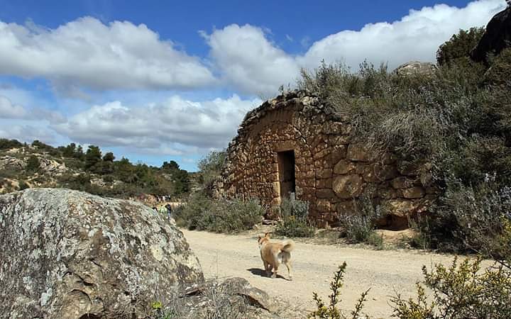 MarxaOmellons's tweet photo. Ens ajudeu a fer difusió? Es fàcil, compartiu aquest tweet
31 de març 7a Marxa de les Cabanes de Volta dels Omellons.
Inscripcions obertes https://t.co/raAYxokW08
#omellons #garrigues #marxa #turismegarrigues #turismerural #igerslleida #pedraseca #cabanesdevolta https://t.co/JlSw0re1is