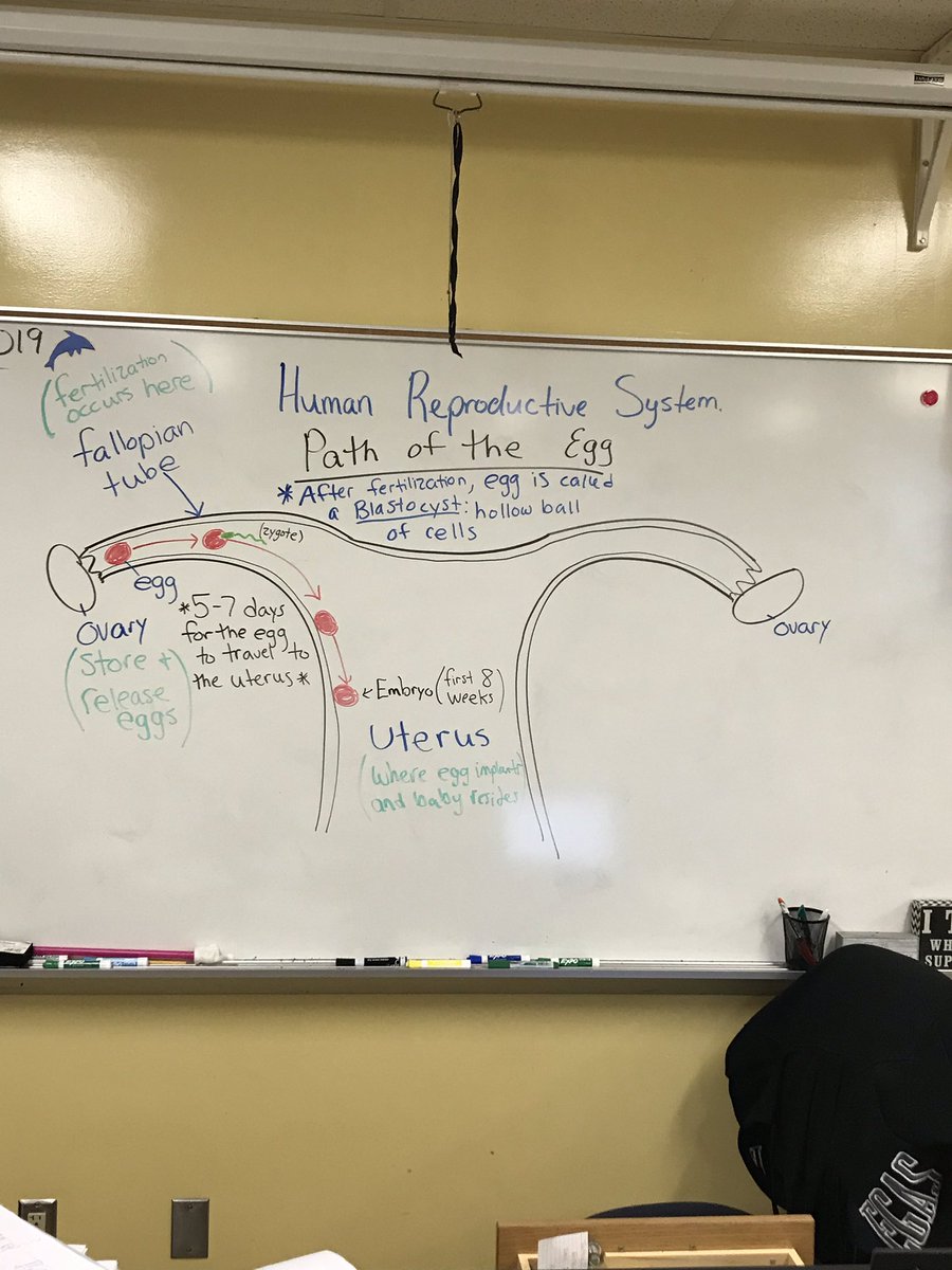 This has been an interesting week! Gotta love Biology!! <a href="/VCSscience/">VCS Science Office</a> <a href="/Mainlandhigh/">Mainland High School</a> #bpnd