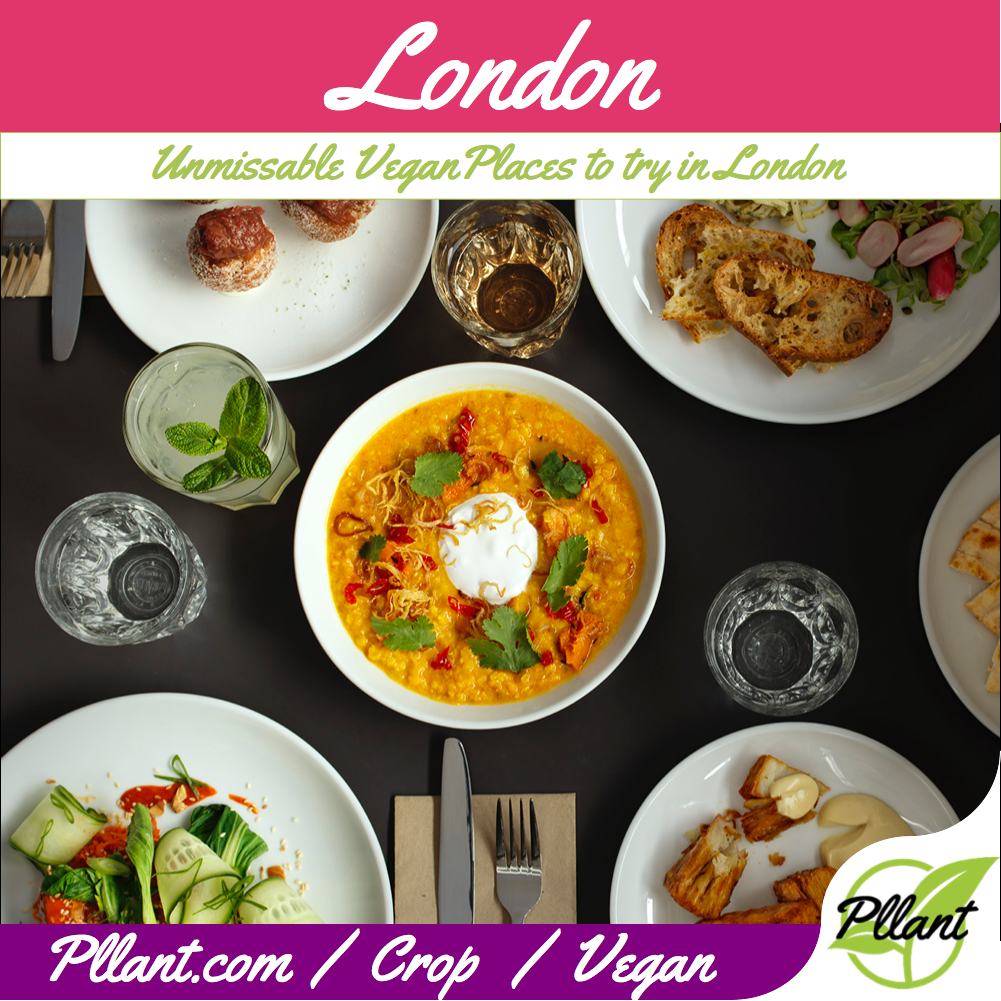 Pllant_'s tweet photo. If you live in #London or are planning a trip, then this crop on Pllant will help you discover many #Veganrestaurants and #Veganshops around the city.
https://t.co/LHLFLrA8KP
@GreenBay_UK @MsCupcakeUK @biffsjackshack @Suttonvegan @WILDFLOWERse15 @222VeganCuisine
โค๏ธ๐ฑ https://t.co/jDAy2picL8