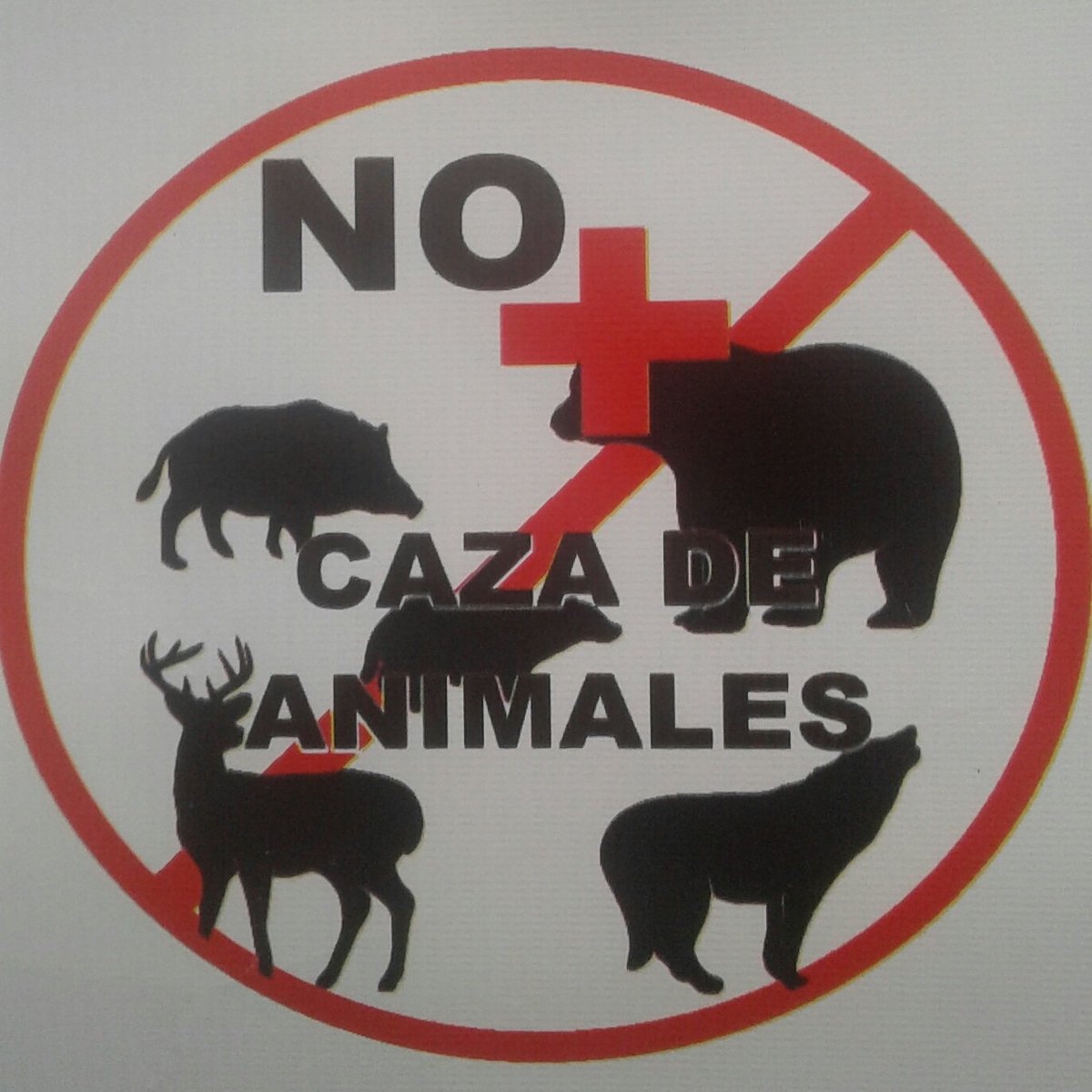 AnimalistaGoofy's tweet photo. @CConstitucional prohiban la Caza deportiva en Colombia, Nuestra fauna silvestre no debe estar en la mira de cientos de armas de fuego, EL ASESINATO DE ANIMALES INOCENTES NO ES DEPORTE.
NO MÁS MALTRATO ANIMAL
#ModoProtesta
#NoAlaCazaDeportiva
#NoMásMaltratoAnimal #NoALaCaza https://t.co/45Nc4IIybn