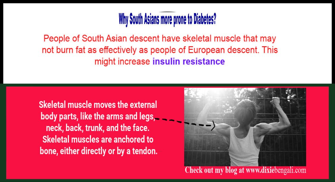 drhnshaw's tweet photo. #SouthAsians #more #likely #diabetes #SouthAsian #LIKELY #InsulinResistant #BMI #bodyfat  #blog #southasians #DM  #education #burnfat  #T2DM #health #BellyFat #PreDiabetes #Diabetes #type2diabetes #health problem #Bangladeshi #India #Bhutan #@StopAsianT2D  #India https://t.co/D1cBWTeKtK