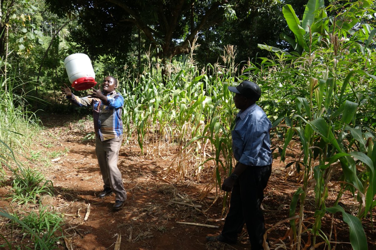 Excited to get out in the field and try out the protocol for extracting #eDNA from soil. Turns out the mixing stage is best shared, and even better as a dance off! Looking forward to the analysis with <a href="/NatureMetrics/">NatureMetrics</a>, to examine impacts of #ConservationFarming <a href="/GSI_Exeter/">Global Systems Institute</a> #TIST