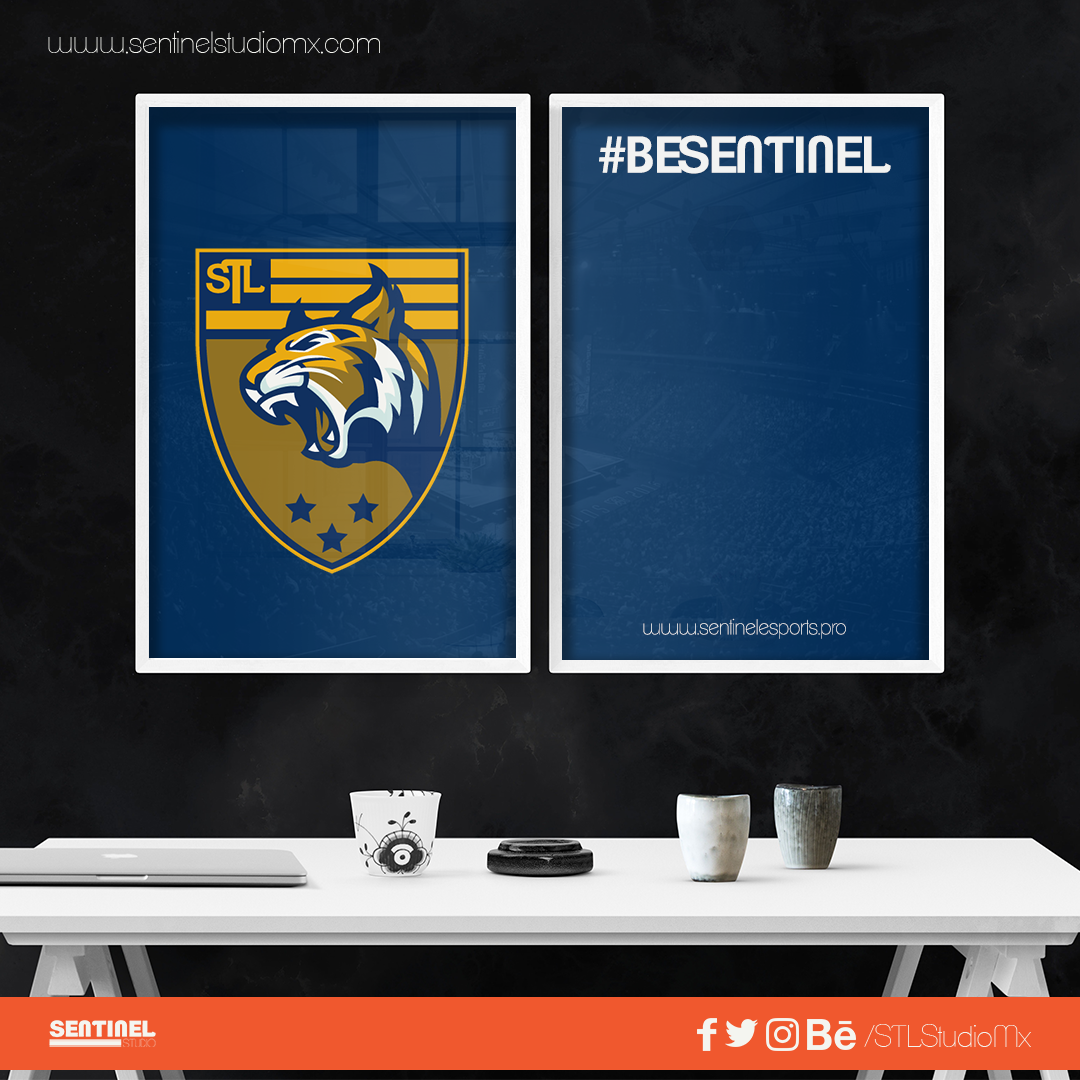 Sentinel Studio tweet media