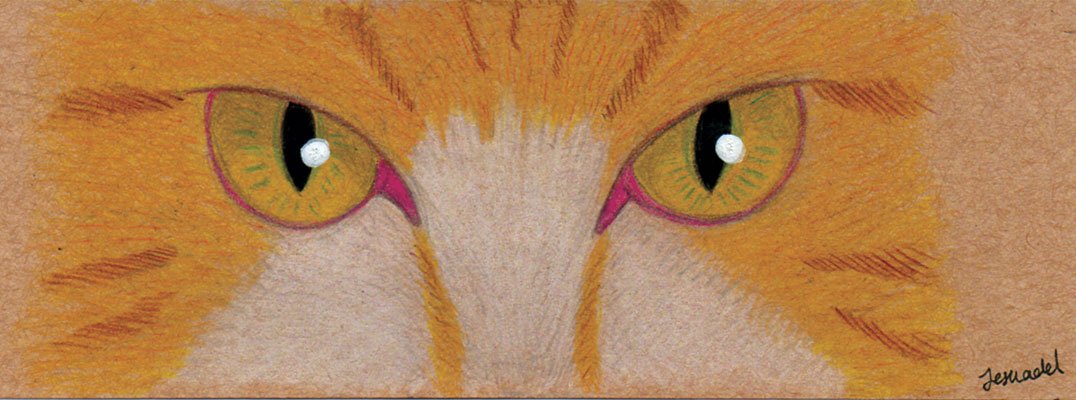 Tecolotlanimac1's tweet photo. #sketch #doodle #cat #ilovecats #Kitty #kittycat #gato #illustration #ilustracion #illustration2019 #pencilart #pencilcolor #colores #ojosdegato #eyecat #eyes #mexicoart #LapazBCS #BCS #BajaCaliforniaSur https://t.co/Stx5PfPqf4