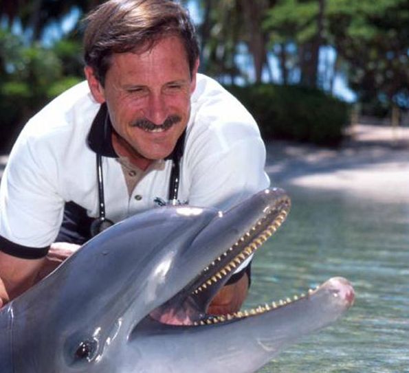 Dolphin_Project tweet picture