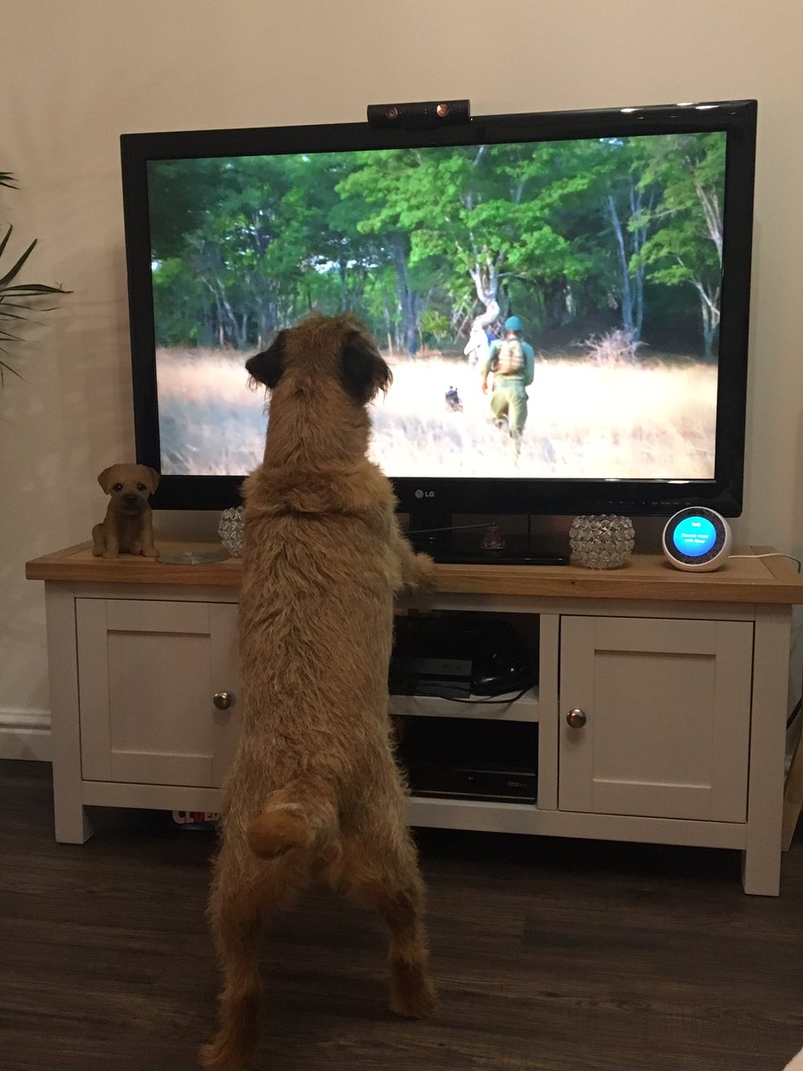 I’ll save you from the poacher on the TV Mum!!! #weebroondug #itsgood2give #BTposse