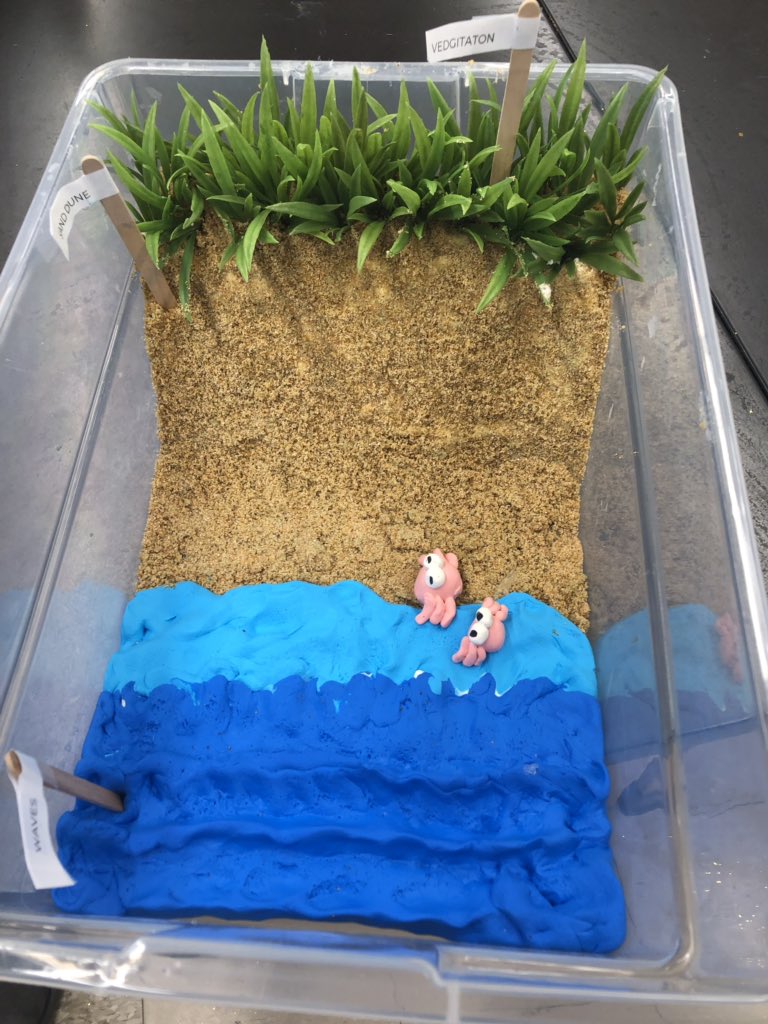 liv4science's tweet image. Students are designing a structure to reduce beach damage caused by mechanical waves! Students will present their model and plan to the committee of a coastal tourism town. Check back for progress😁 #teammillburn #MMSgrowth