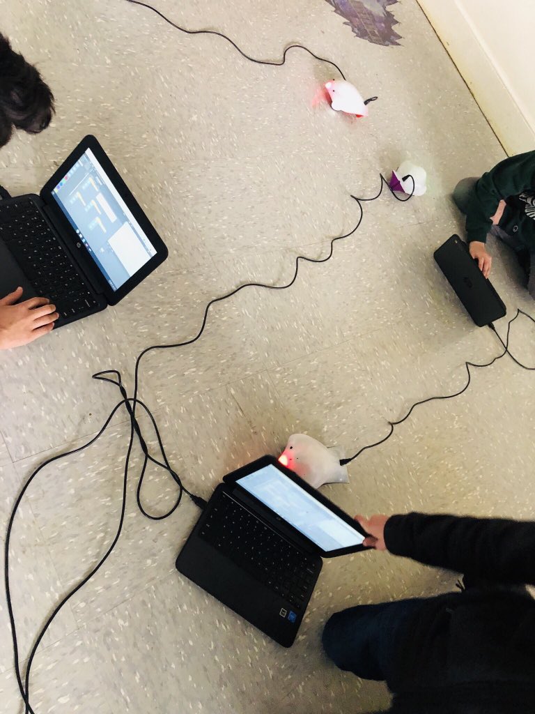 dolanraiders's tweet image. Mrs. Pandalai’s 7th grade technology students learning coding skills with Finch robots! #spsmind #spschallenge