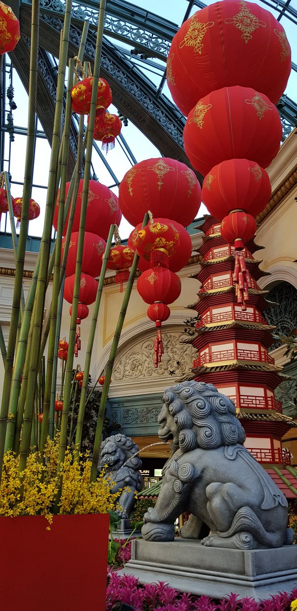 ViaggiArchCult's tweet photo. #CapodannoCinese inizia l'anno del maiale. Foto scattate a #lasvegas al @Bellagio hotel nel Conservatory &amp; Botanic Garden. https://t.co/fKJtP0l8C8