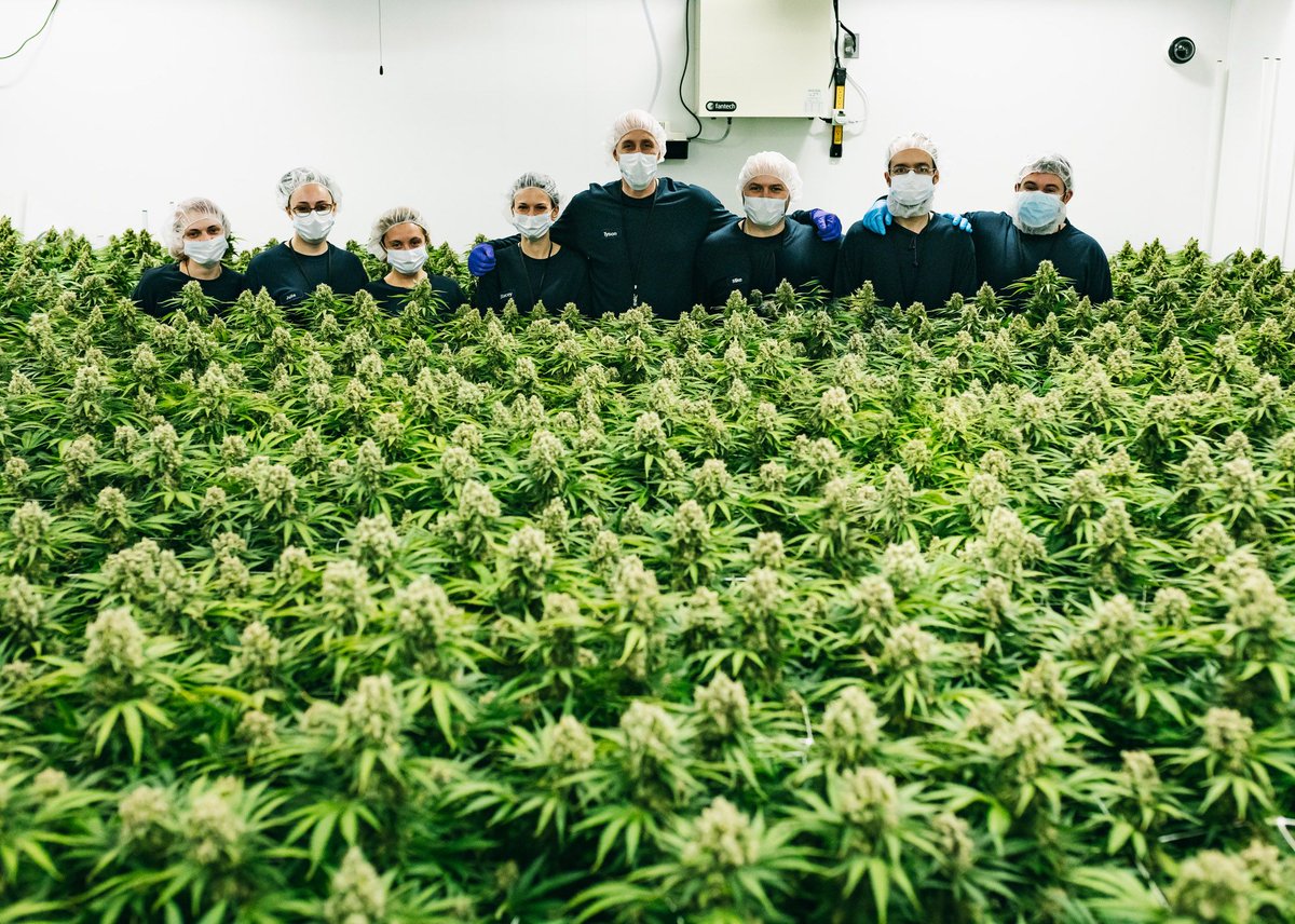 Families that grow together Thrive together. #CannabisThrives #ThriveCannabis #CraftCannabis #CanadianCannabis #Cannabis #CannabisCommunity