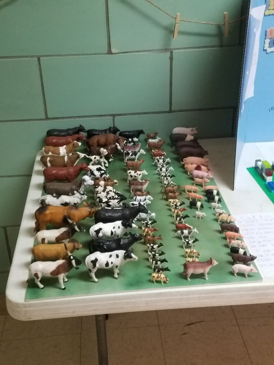 brianblum_'s tweet photo. @NRVikings Primary School students celebrated the 100th day of school today. Students tried food related to the 100th day, presented projects around the 100th day and participated in various crafts https://t.co/Aja3NkkfbG