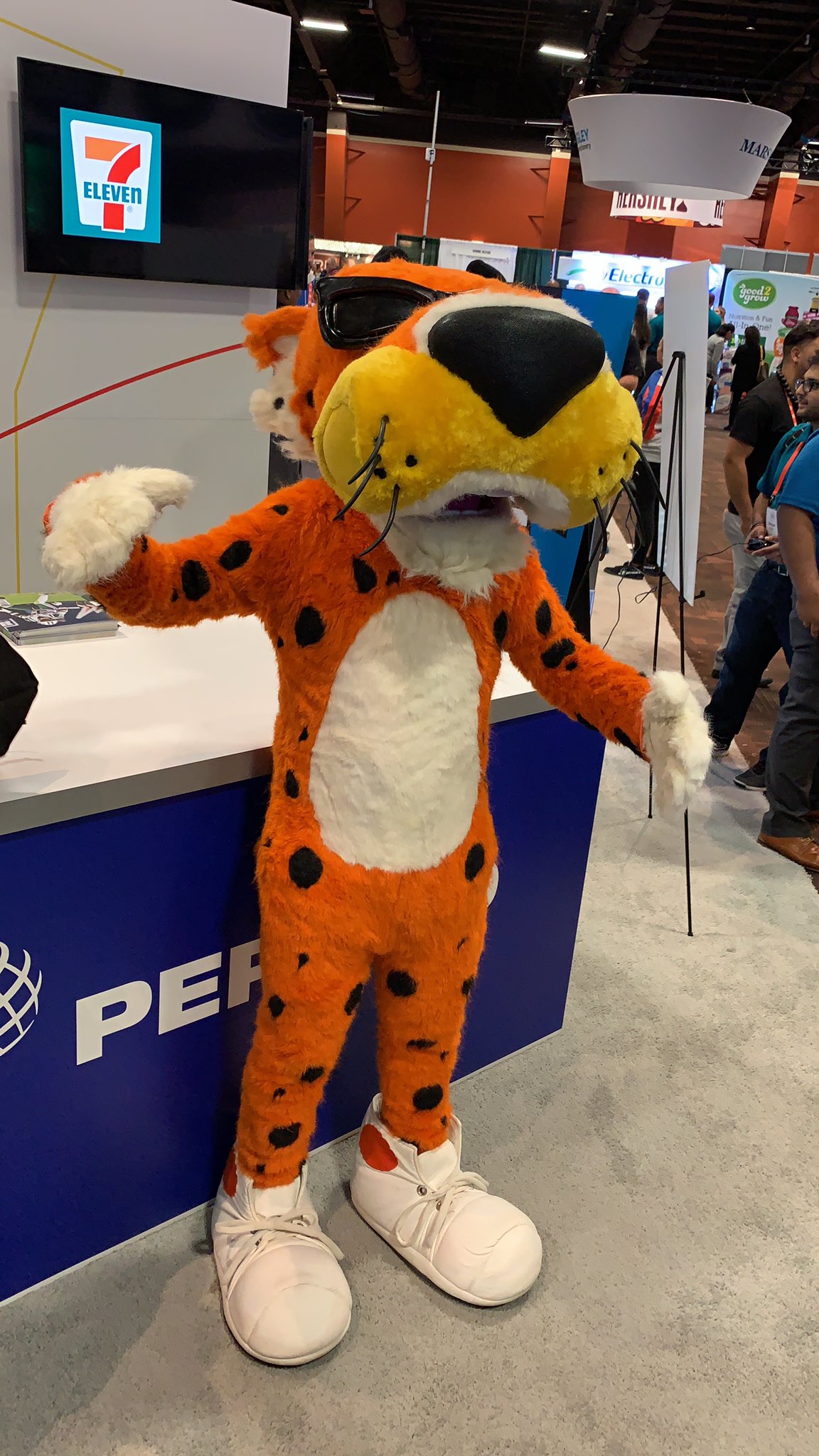 Cheetos Cheetah Costume