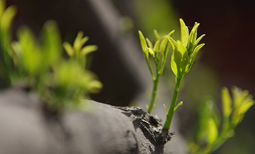 Victorian Government (@vicgovau) on Twitter photo Today is the tenth anniversary of Black Saturday. We remember the people who died, and those whose lives changed forever. We also remember the emergency services, the agencies, and the volunteers who helped with an event that was too great to deal with alone. We remember. Today is the tenth anniversary of Black Saturday. We remember the people who died, and those whose lives changed forever. We also remember the emergency services, the agencies, and the volunteers who helped with an event that was too great to deal with alone. We remember.