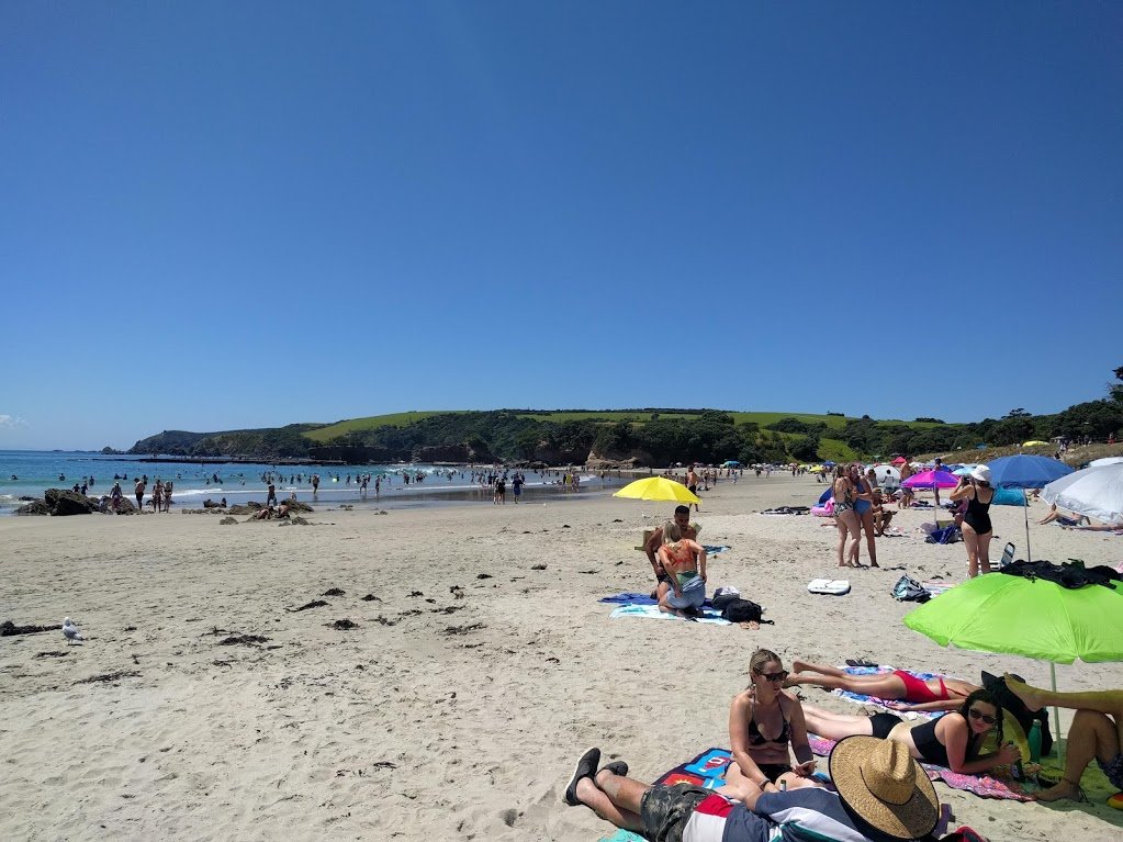 pappito's tweet photo. Spent the #WaitangiDay2019 at #Tawharanui Regional Park. I've never seen the park as busy as yesterday, it was chocka, KUDOS to the rangers, they worked their ass off to get parking for everyone. Was a beautiful day! https://t.co/rtjIALPrlU