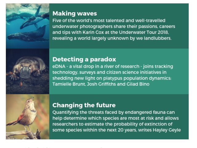 Have you seen what’s in our latest edition on “Depth”? Subscribe to a digital or beautiful hard copy version, delivered quarterly. All proceeds support wildlife conservation wildlife.org.au/shop/wildlife-…