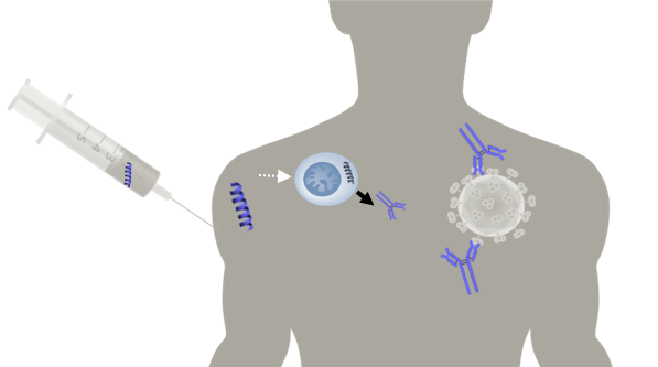 Humans as Bioreactors: How DARPA pioneered the idea behind mRNA vaccines DywUN5nXcAI3qTo?format=png&name=small