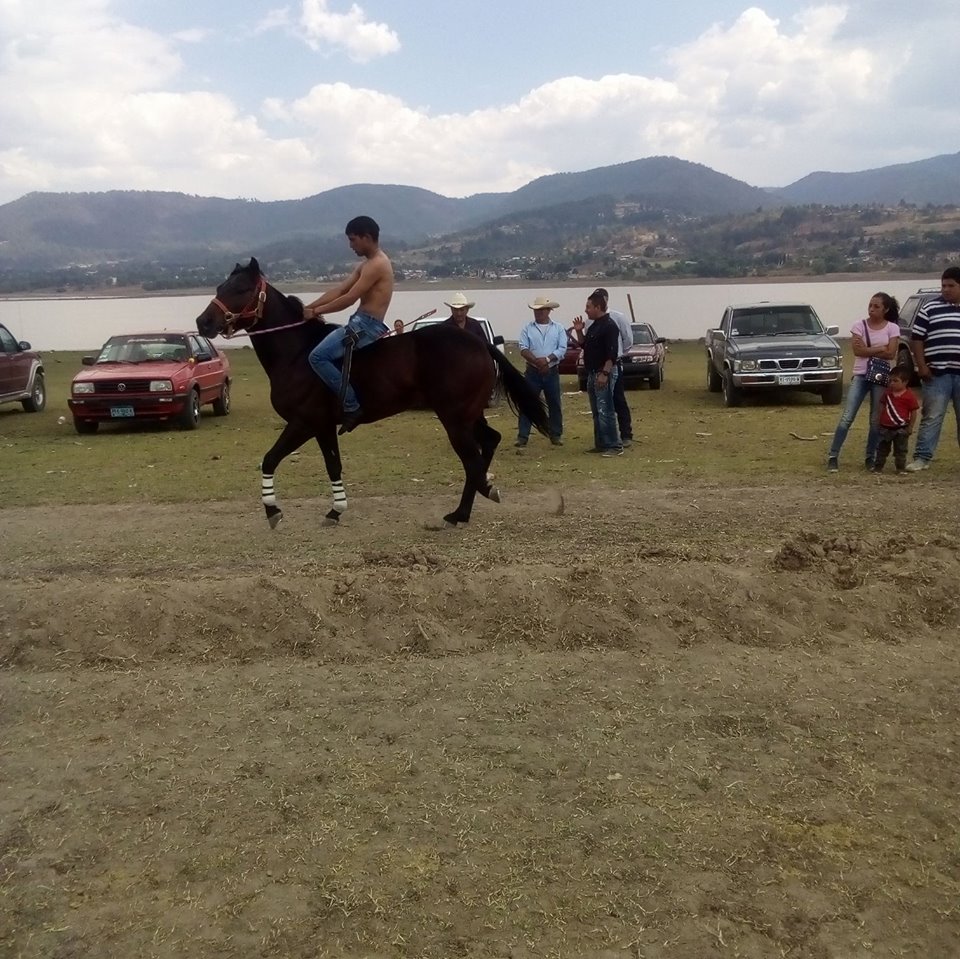 CesarQu27049928's tweet photo. Cuando Inicié Mi Debut De Jockey!😍🏇🏇🏆 https://t.co/YycaXBJQPa