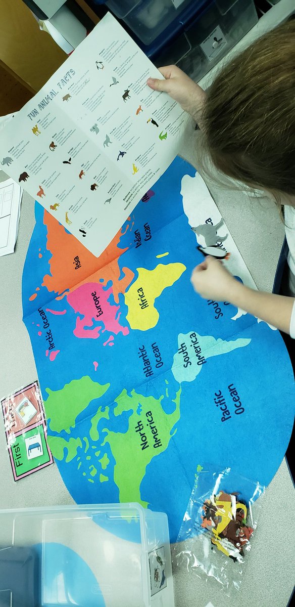 McAlister Huynh tweet media