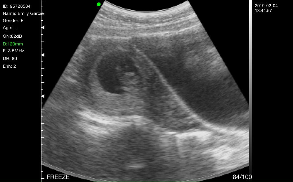 profeluis__'s tweet image. #Pichirilo
Lunes 4| Feb|2019 
¡Primer Encuentro!❤️