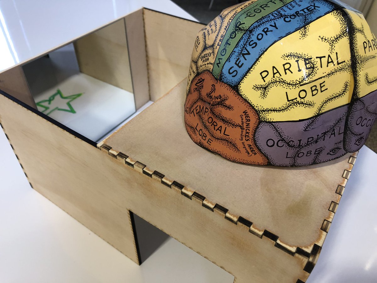 One of the first orders of business in the #BrainwaveLearningCenter <a href="/SynapseSchool/">Synapse School</a>: Brain hats and a mirror tracing box (made in our very own makerspace! Thanks Brian B!)