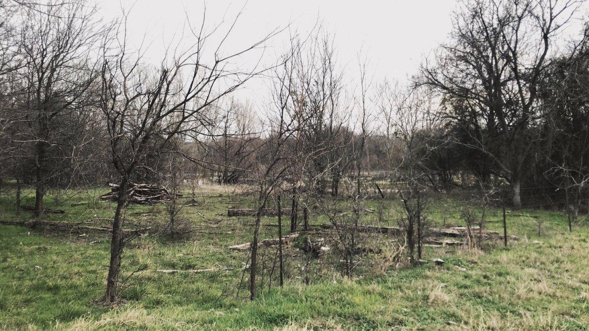 AngelAlithia's tweet photo. Went on a hike after work and found a swamp. https://t.co/SQ0r3apa4E