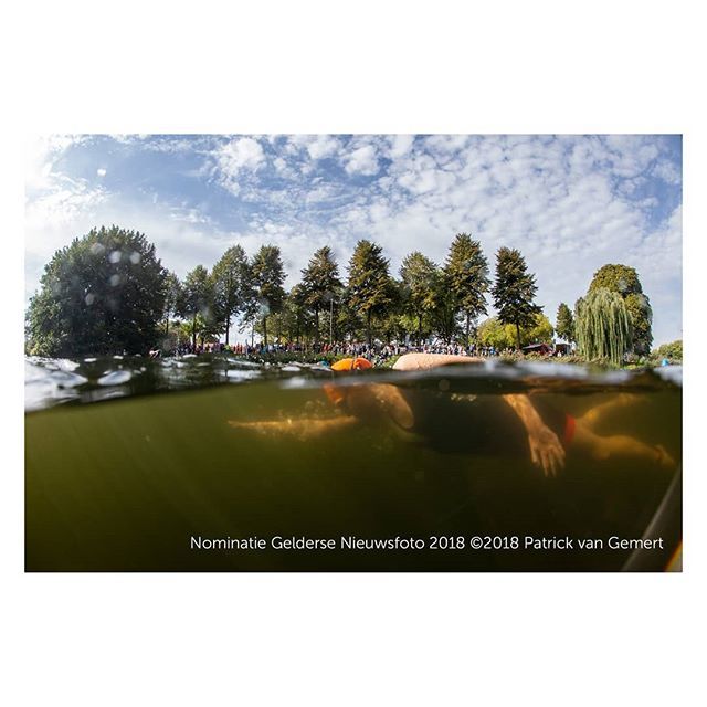 pvangemert's tweet photo. Cool! Nominated for Gelderse Nieuwsfoto 2018!
#geldersenieuwsfoto #gnf2018 #canon #5dmk2 #15mm #fisheye #divepix @duiken_magazine @duikeninbeeld @nob_duiken @duikspotter #triathlon @inzutphen #onderwater #zwemmen @ikelite https://t.co/aK2SLZ6Qy9 https://t.co/DEd51jU8V2