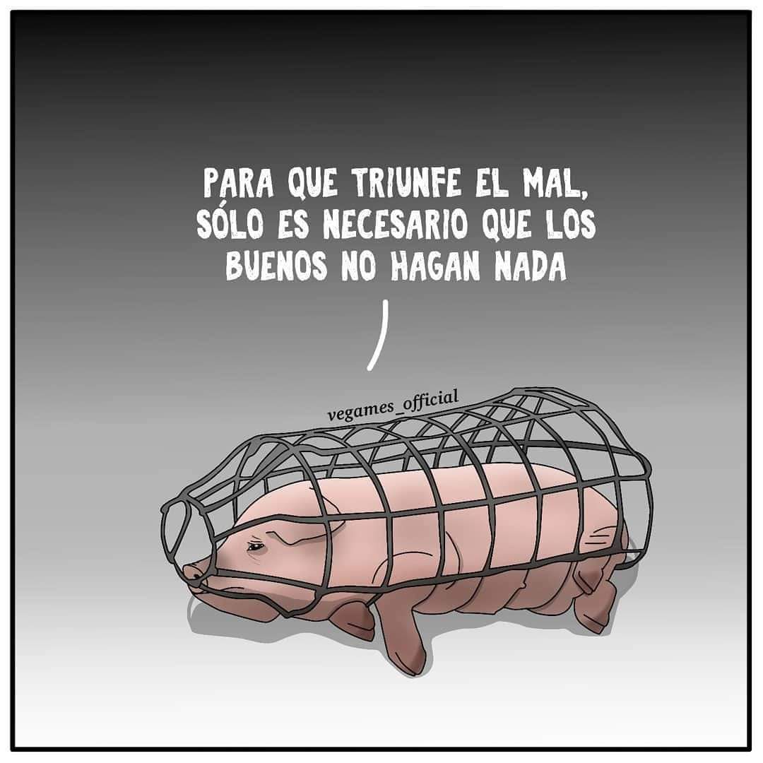 Xavi Marti tweet media