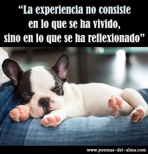 Poemas_del_alma's tweet photo. Una frase de Jose María de Pereda en nuestra #imagendeldía https://t.co/NEXV27VEWj