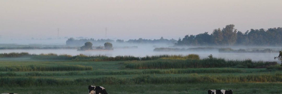 sypwynia's tweet image. Ik geloof dat het de kapper was die het tegen mij zei: 'Kun jij het je voorstellen dat je als scholier de straat op gaat om te demonstreren omdat je leraren je daartoe aanmoedigen?' #klimaatstaking #klimaatjeugd #klimaatspijbelaars #