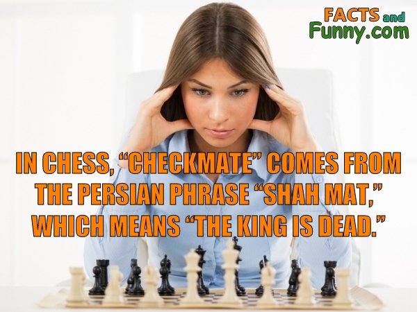 r/196 - chess 2 rule  Chess, Funny pictures, Fun facts