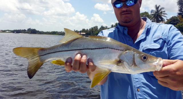 spot2fish's tweet image. An old fisherman lives here...with the catch of his life. #fishing #spot2fish #fishing