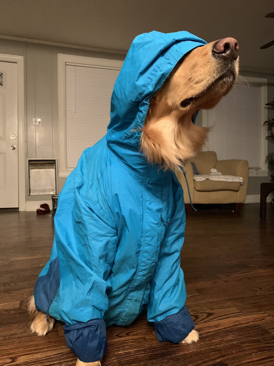 allieoop_15's tweet photo. I was supposed to go workout but instead I took pics of my dog in a raincoat https://t.co/y6GvNnNEZZ