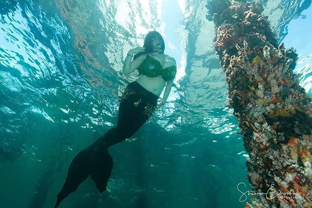 MermaidSalacia's tweet photo. Throwback Thursday to Mercon 2017.
Photo by Sharron Earnshaw.
#mermaid #goth #gothmermaid #mergoth #gothqueen #seawitch #oceanphotography https://t.co/hCsIDAgbvm https://t.co/xlsZ5aCY4b