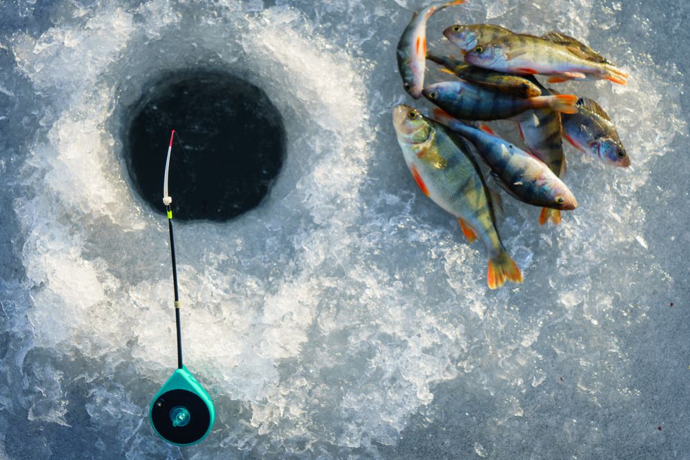 cottagelife's tweet photo. 6 safety tips every ice angler should practice: https://t.co/IC4PrKpjlA #iceangler https://t.co/2ISXcu1zhW