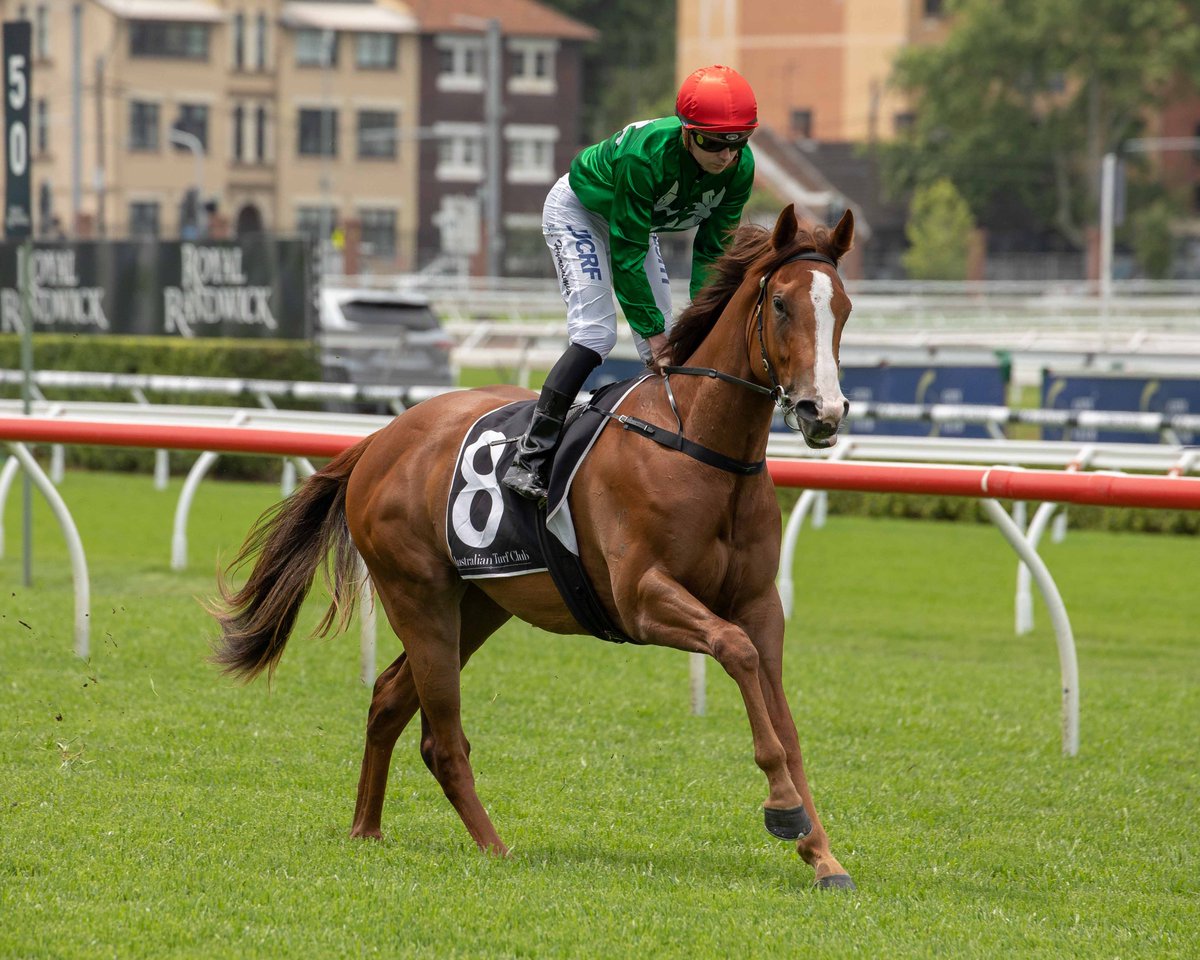 GaiWaterhouse1's tweet photo. EVENING SLIPPERS (full sister to G1 winner, Sweet Idea) showed the qualities to make it 7 Golden 👠's for Tulloch Lodge, winning her trial effortlessly this AM @royalrandwick for US owner, Jon Kelly &amp; @ArrowfieldStud 👏🏽 @jonfreyer @mmsnippets @clarkyhk @atc_races https://t.co/VssiJRpI7J