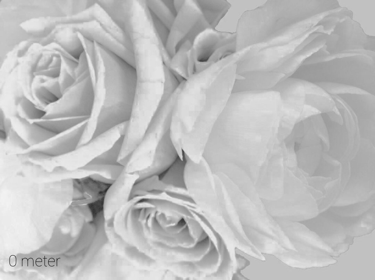 GridWhite's tweet photo. monochrome 0082

色を想像する贅沢さ。

#モノクロ
#photography
#キリトリ���カイ
#ファインダー越しの私の世界
#写真好きな人と繋がりたい https://t.co/A3kJ2yiDfE