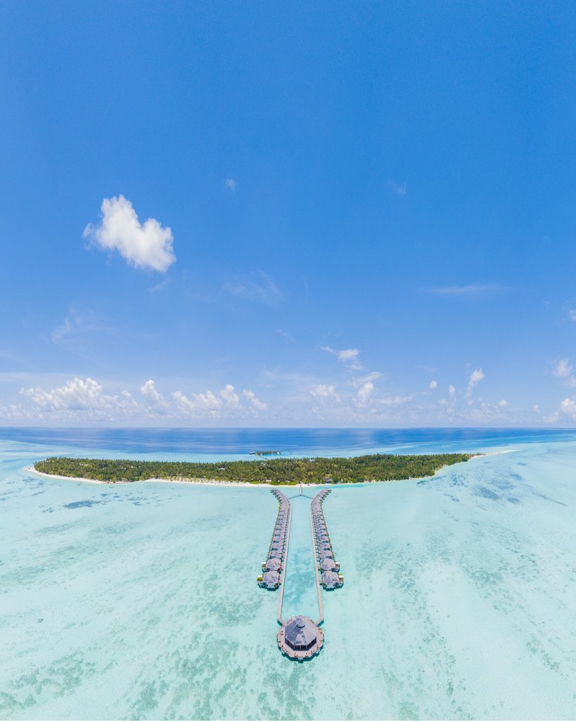 CruiserStudio's tweet image. ✨