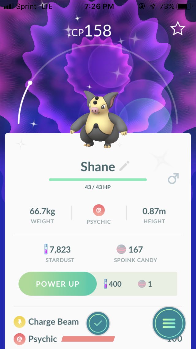 TX_Valor_Chick's tweet image. I knew that if I found a Shiny Spoink, I was going to name it after the Qween of the pigs ✨ @shanedawson 🐽👑