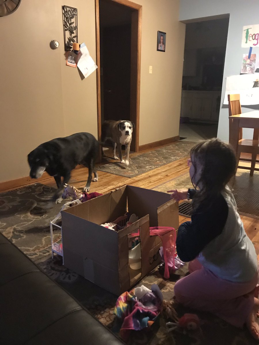 @Petco everytime a repeat delivery comes in the mail, we get a new dollhouse 📦 🐶 👸