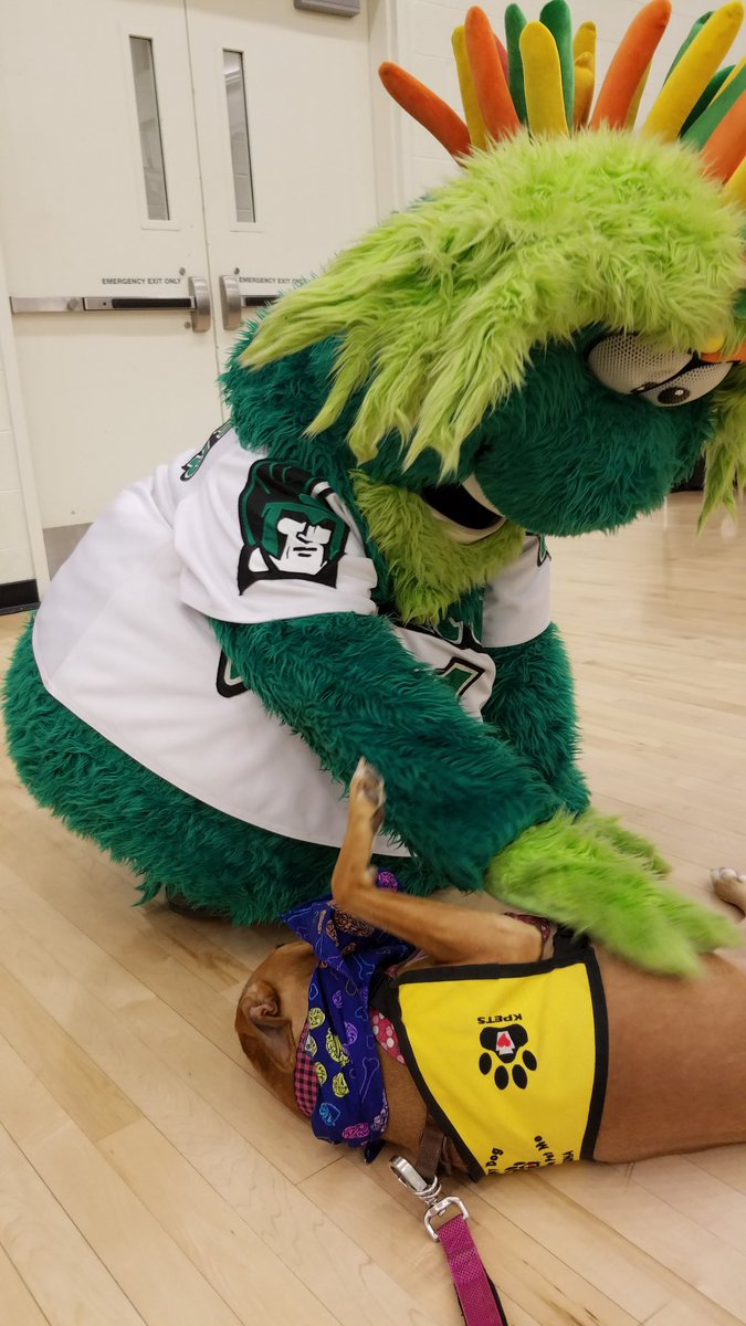 Kpetstherapydog Hashtag On Twitter