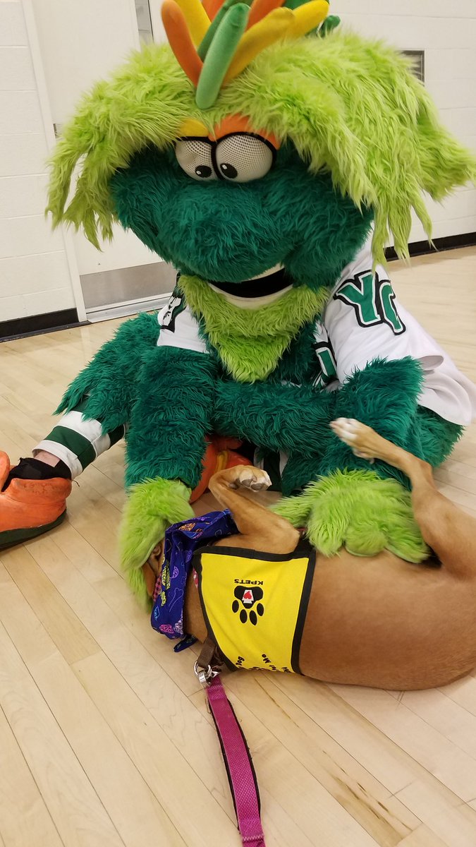 Kpetstherapydog Hashtag On Twitter