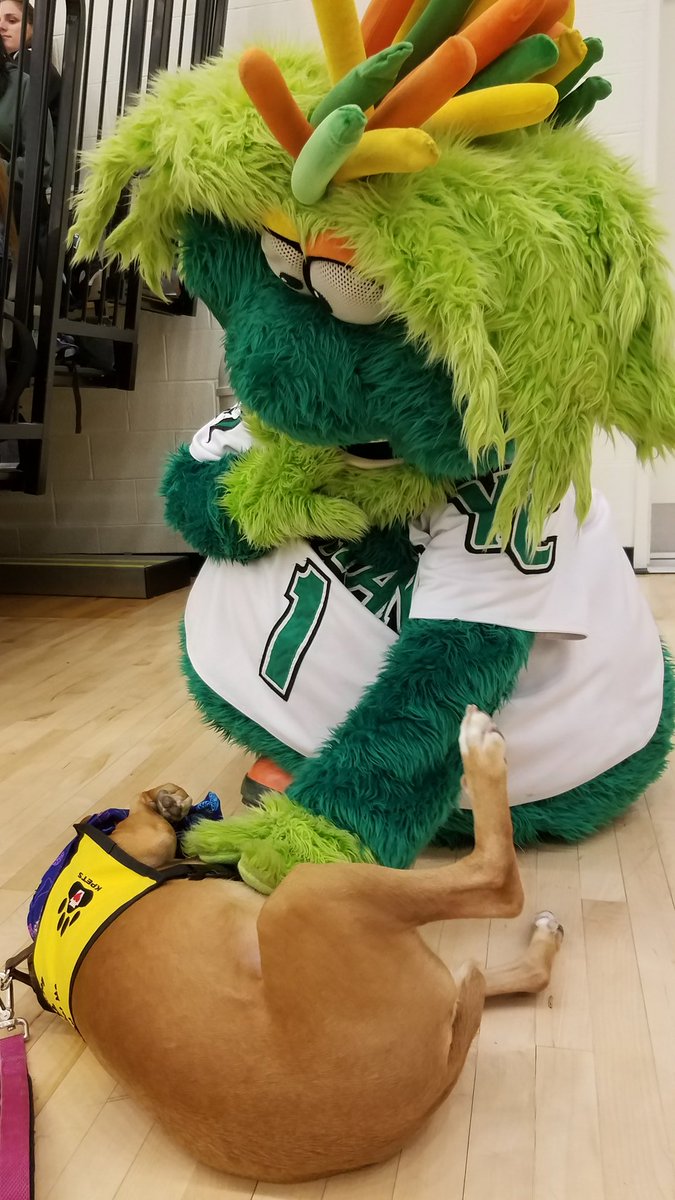 Kpetstherapydog Hashtag On Twitter