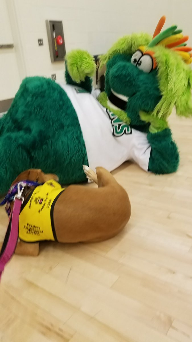 Kpetstherapydog Hashtag On Twitter