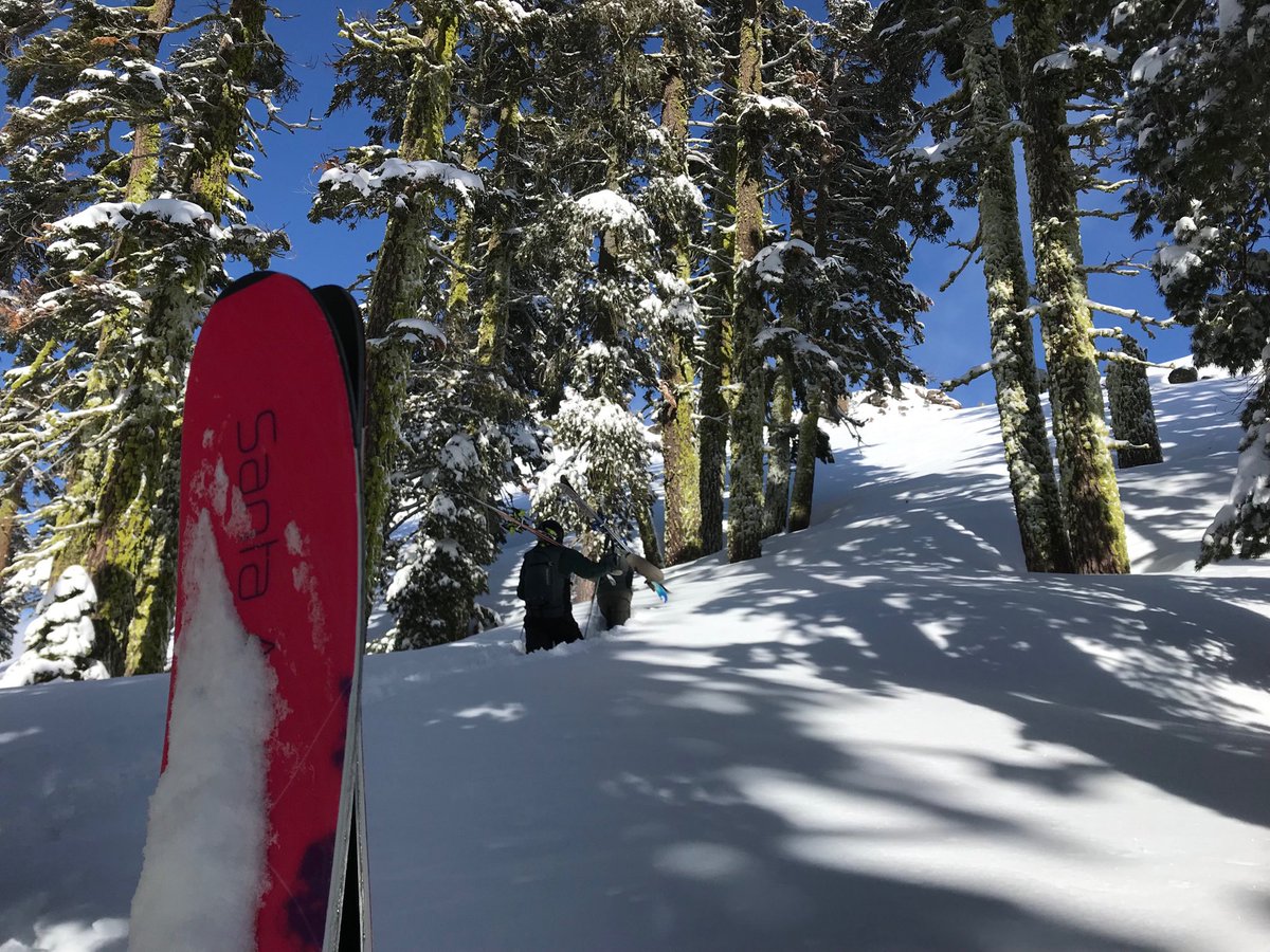 abalancedlifeCA's tweet image. Nature is healing #optoutside #abalancedlifetahoe #bootpack #freshpow #nordicasantaana #bluebirdpow
