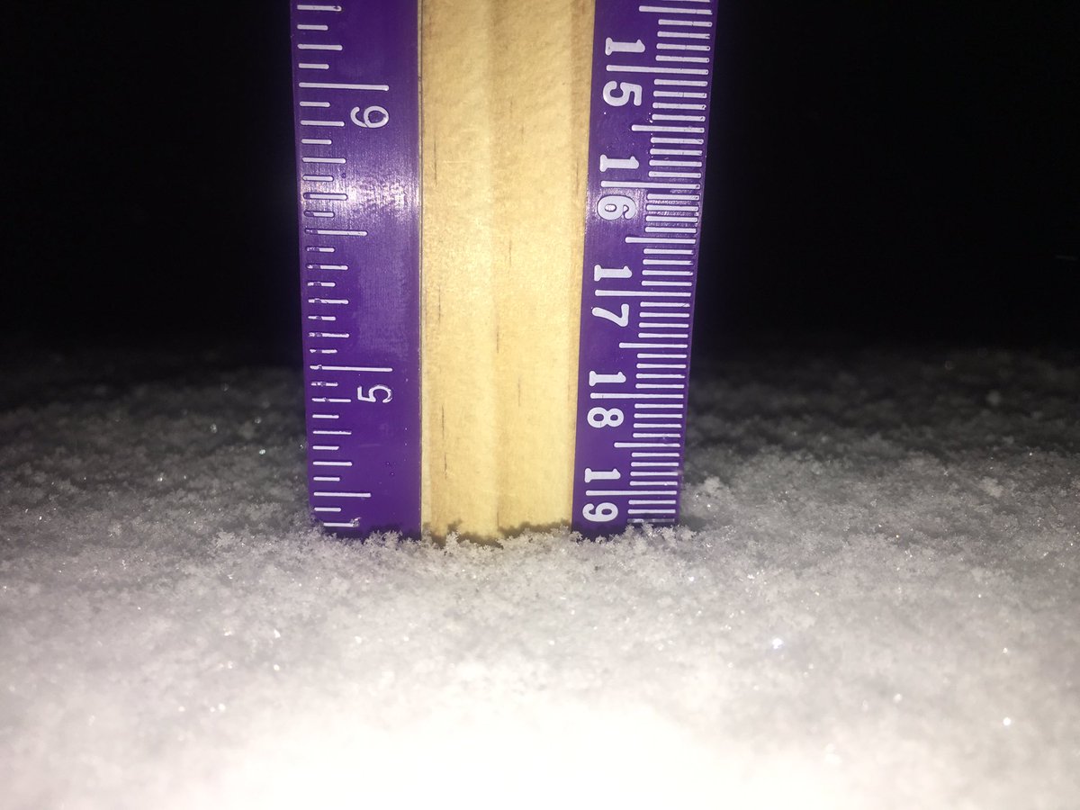 CReppWx's tweet image. 4.5” in North Arvada at 7:20p #StillSnowing @NWSBoulder #9wx